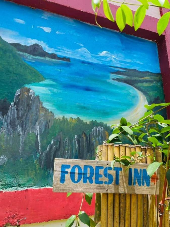 Forest Inn El Nido Esterno foto